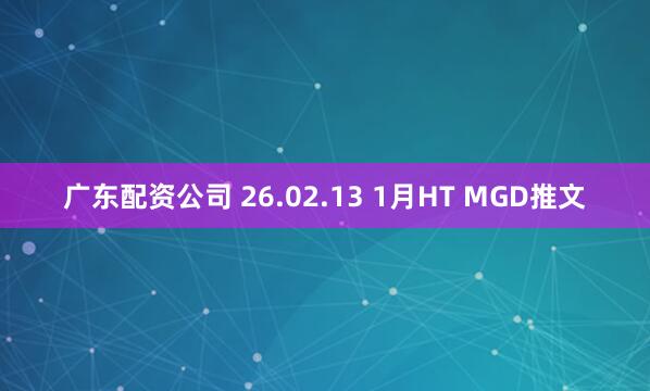 广东配资公司 26.02.13 1月HT MGD推文