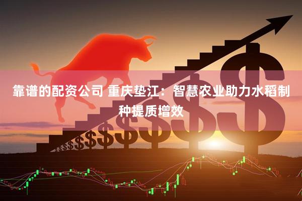 靠谱的配资公司 重庆垫江：智慧农业助力水稻制种提质增效