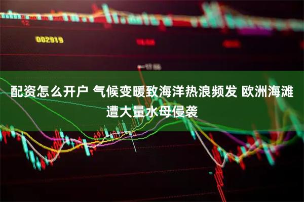 配资怎么开户 气候变暖致海洋热浪频发 欧洲海滩遭大量水母侵袭